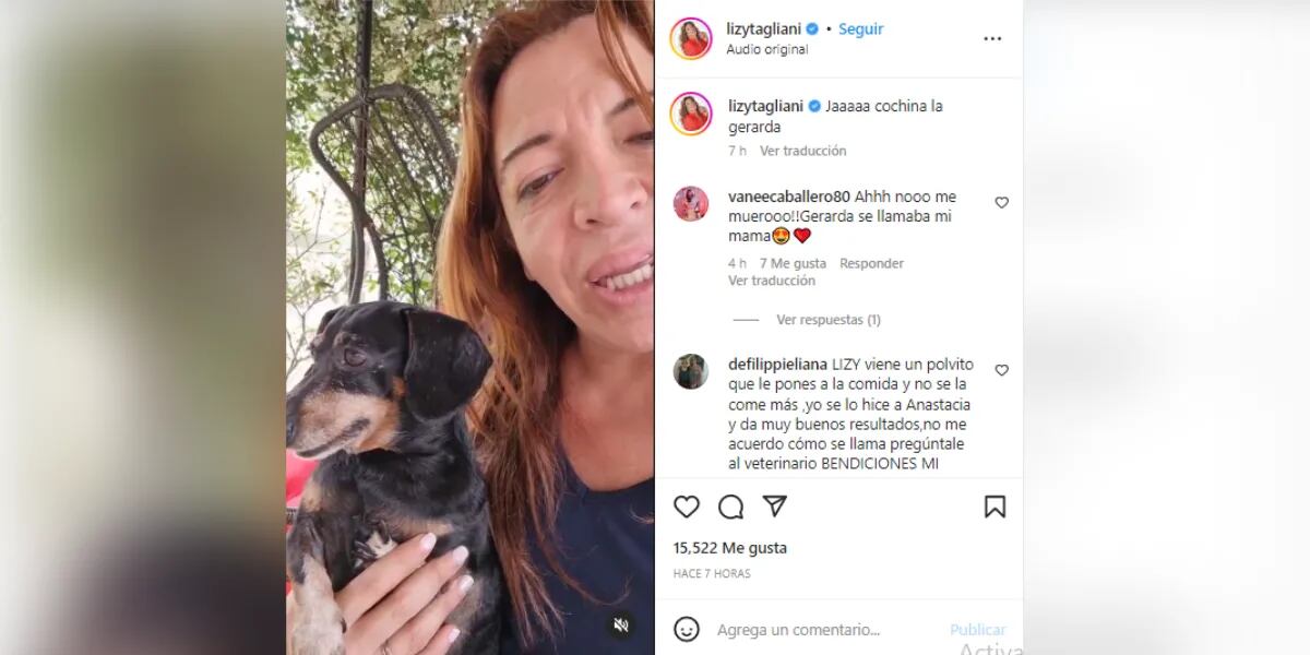 "Cochina la Gerarda", el desopilante video de Lizy Tagliani retando a una de sus perritas