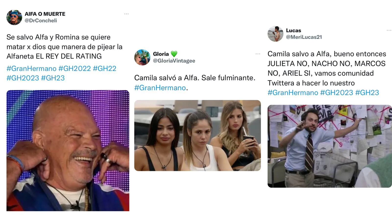 Camila salvó a Alfa de la placa de Gran Hermano y los memes salieron con furia: “Te ganaste el odio”.