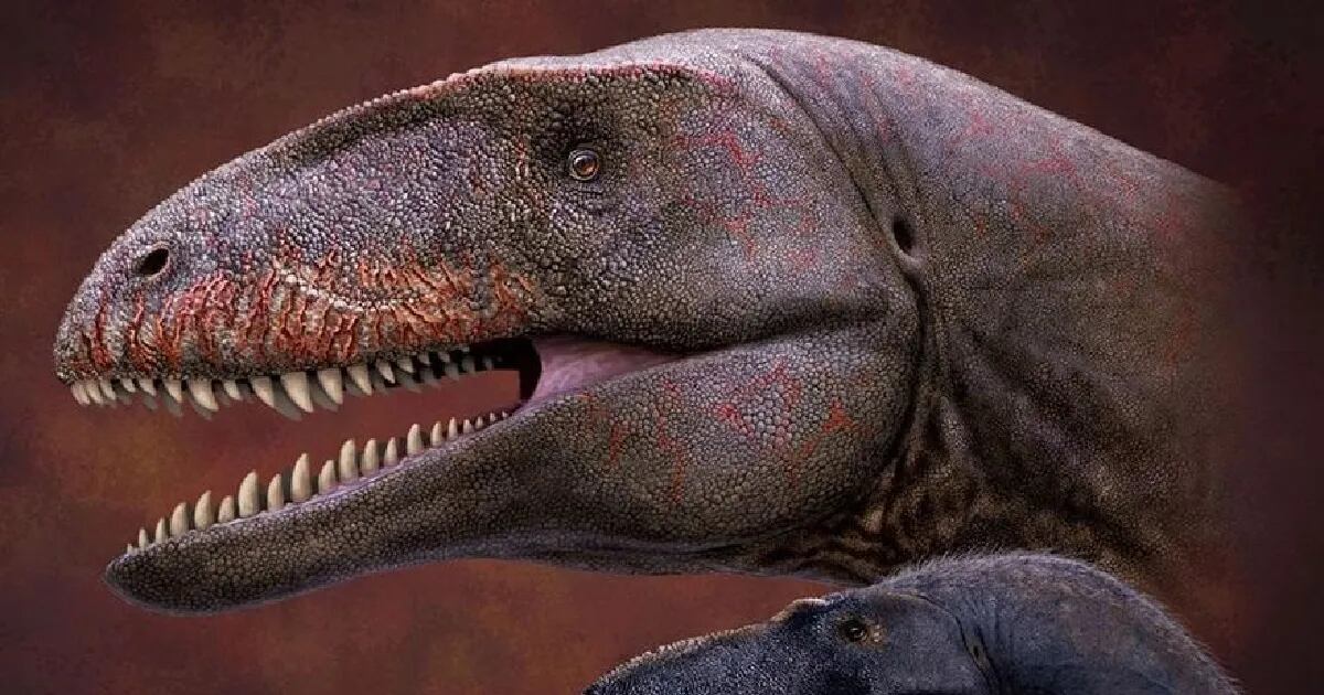 Descubren un nuevo dinosaurio que antecedió al Tiranosaurio Rex como el principal depredador