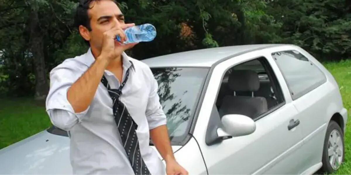El truco japonés para bajar la temperatura en el interior de tu auto en un minuto 