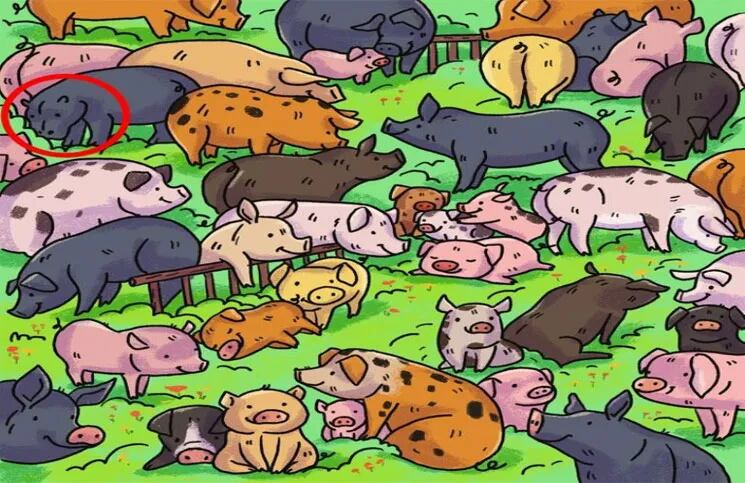 ¿Dónde está el hipopótamo?: el acertijo visual imposible de resolver (vas a hacer agua, sí)