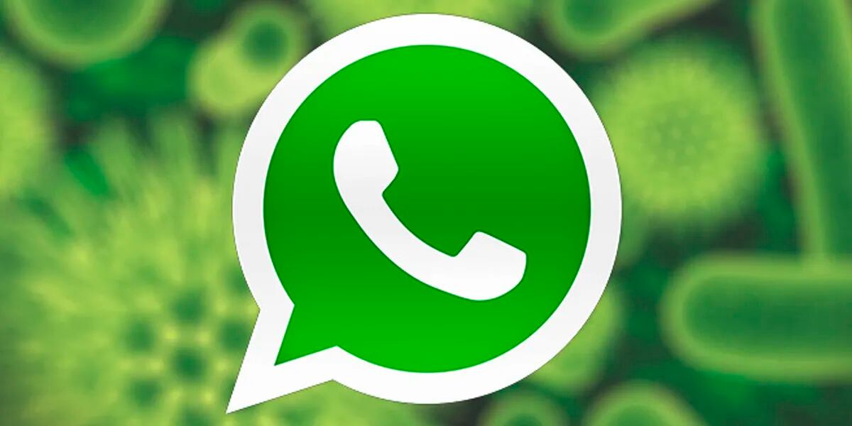 WhatsApp: cómo detectar los virus y qué hacer para evitar que infecten el celular