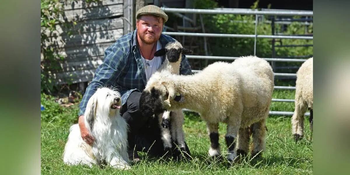 Un perro pastor se hizo viral por no poder hacer su trabajo: las ovejas creían que era una de ellas