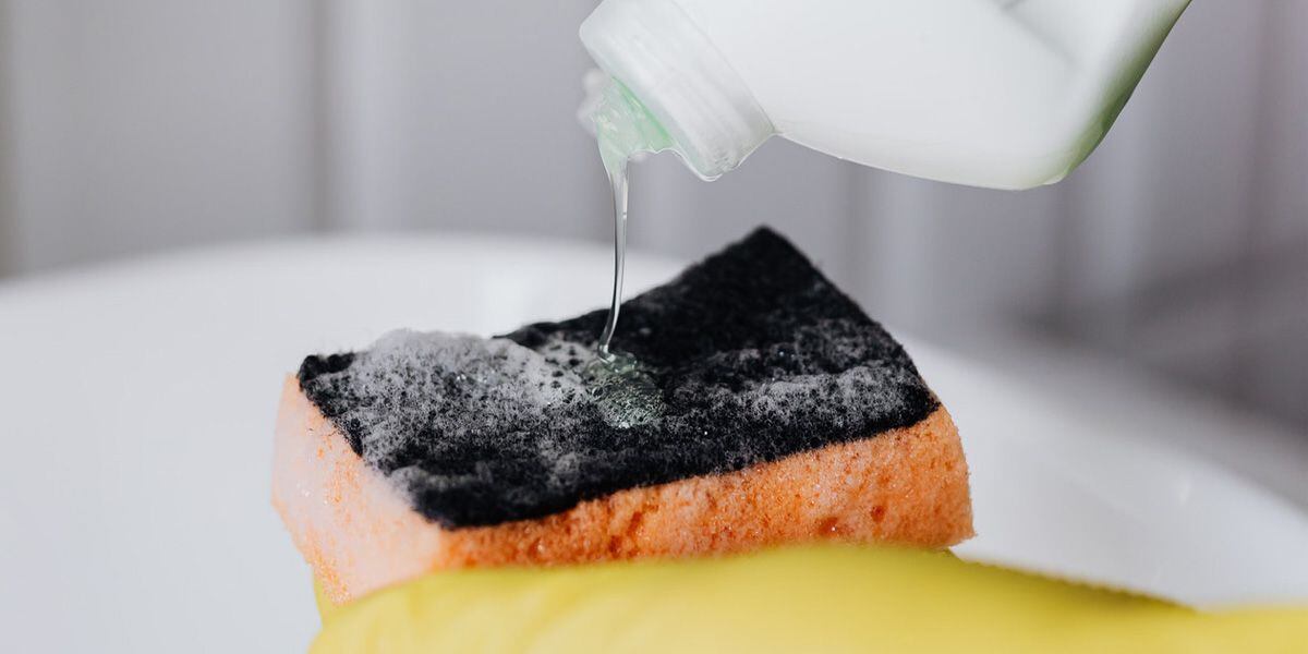 Esponja de cocina: como limpiarla para que no se convierta en una “incubadora de bacterias”