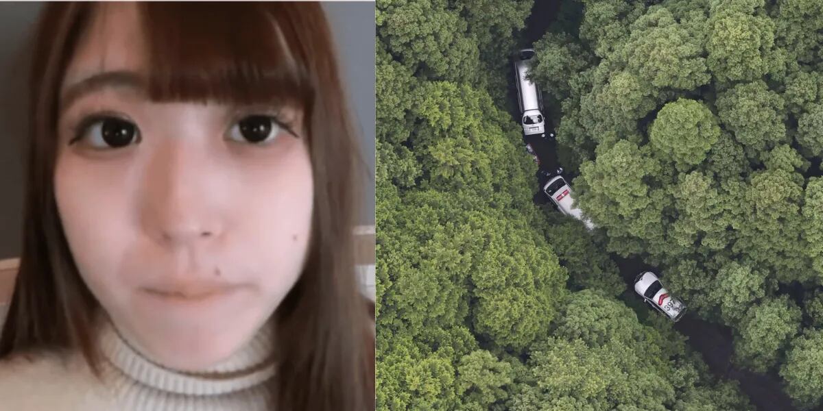 Encontraron muerta a una actriz porno japonesa: estaba desnuda y atada a un árbol