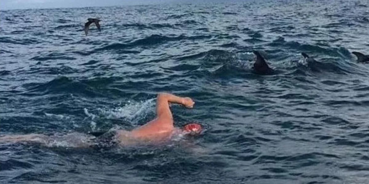 El momento exacto en que un grupo de delfines rescata a un nadador amenazado por un tiburón
