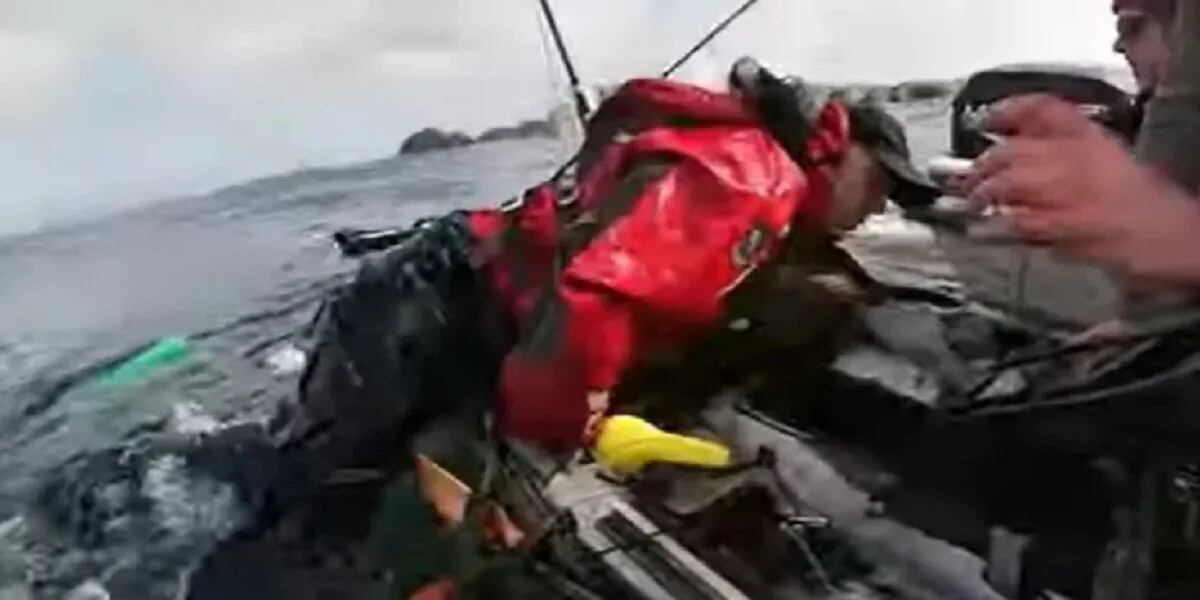 Graban a un tiburón persiguiendo la carnada mostrando los dientes mientras el pescador lucha por el control de su caña