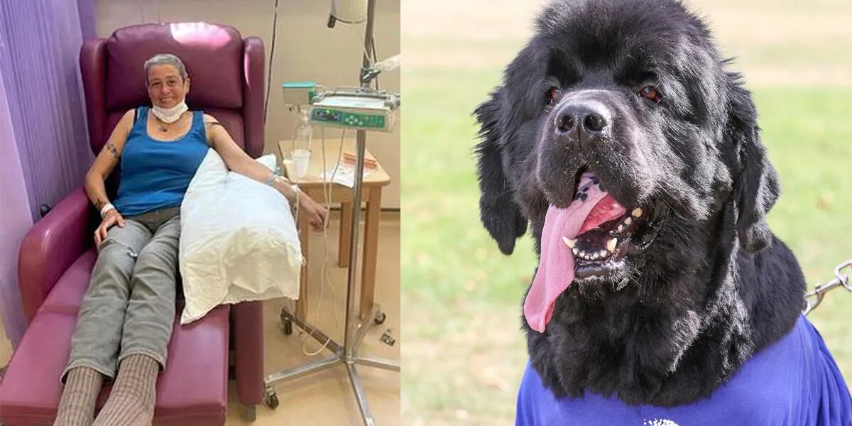 Brody, el perro que le salvó la vida a su dueña al detectar un cáncer: "Crei que quería atención"
