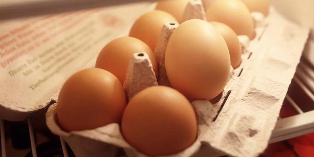 Qué hay que tener en cuenta para saber si un huevo todavía se puede consumir