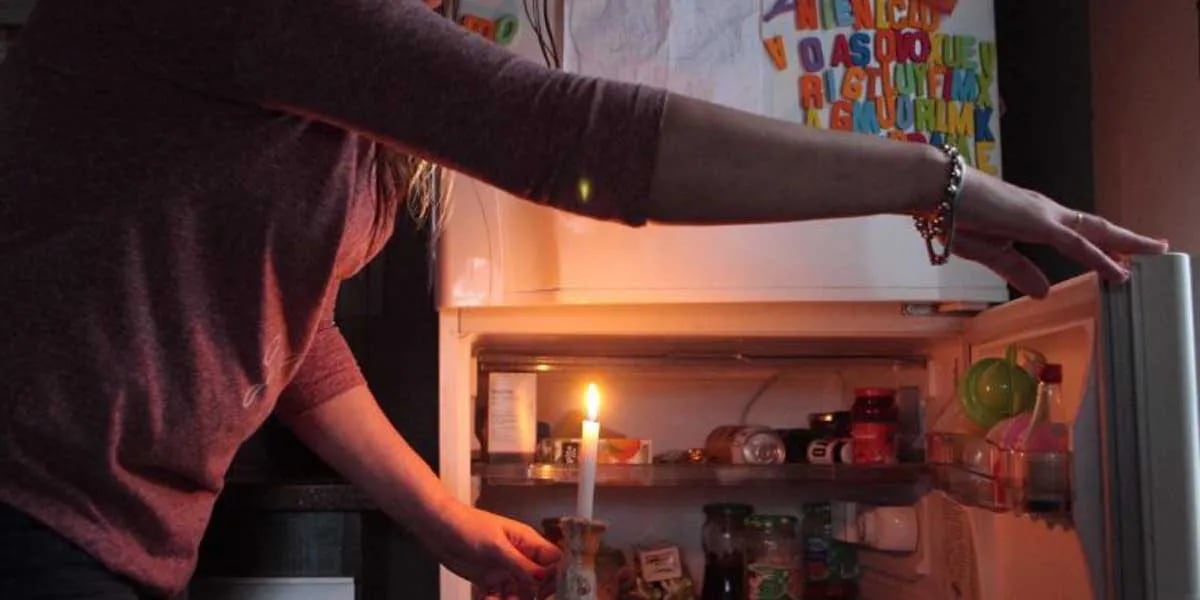 Ola de calor y cortes de luz: cómo evitar intoxicaciones por alimentos