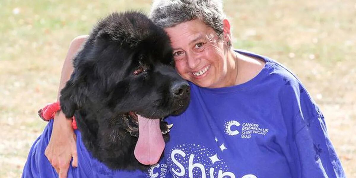 Brody, el perro que le salvó la vida a su dueña al detectarle un cáncer: “Creí que quería atención”