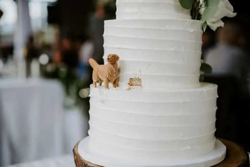 el mejor pastel de bodas inspirado en su adorable perrito