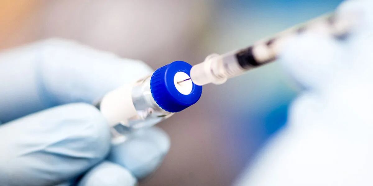 Coronavirus: cómo es Medicago, la vacuna de origen vegetal que aprobó la ANMAT para ensayos