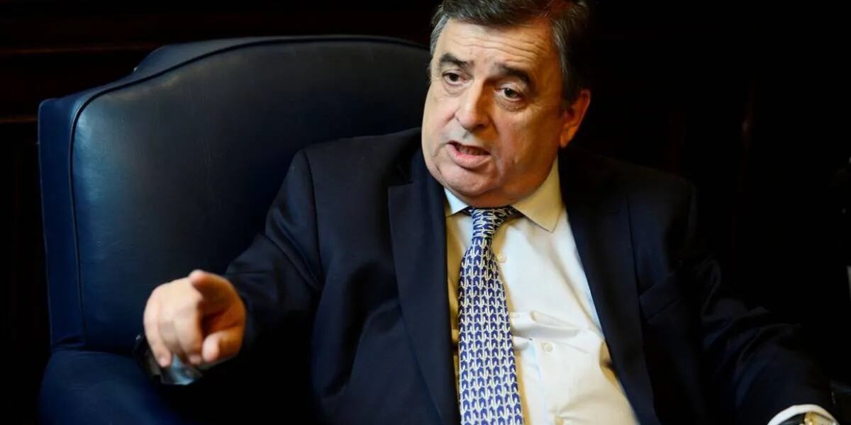 Mario Negri: “Es la crisis más profunda del Gobierno”