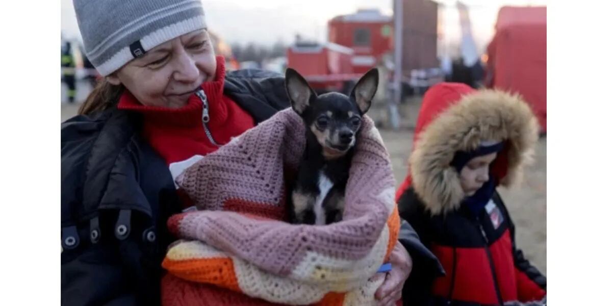 La historia detrás de la desgarradora foto de un hombre abrazando a un perro tras los bombardeos en Ucrania