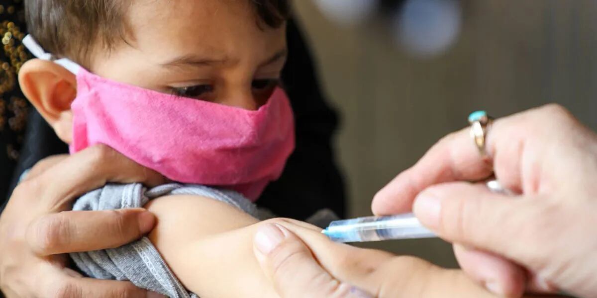 Vacuna Sinopharm: los cuatro argumentos del mensaje que la Sociedad de Pediatría le envió a sus socios