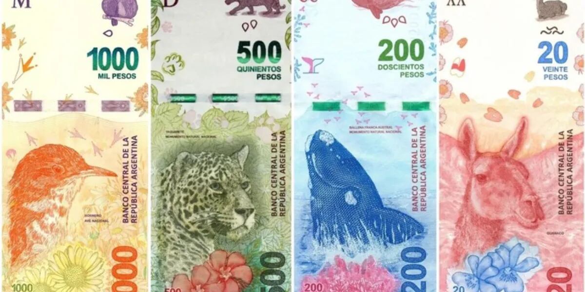Una senadora le pidió al Banco Central que se impriman billetes de $2.000, $5.000, $10.000 y $20.000: “Debería ser ajustado por inflación”