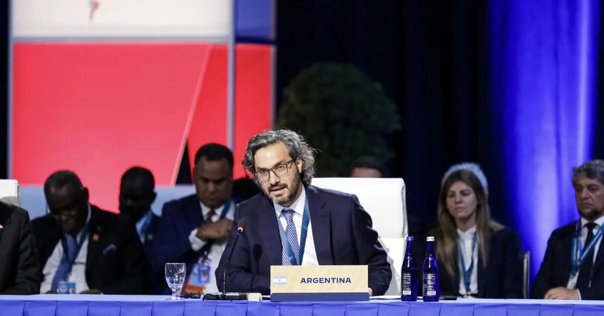 Sesión en la OEA: la Argentina condenó los abusos a los derechos humanos en Nicaragua