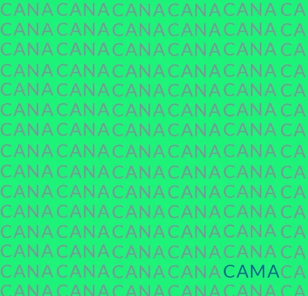 Reto visual para “cracks”: en 7 segundos encontrar la palabra CAMA