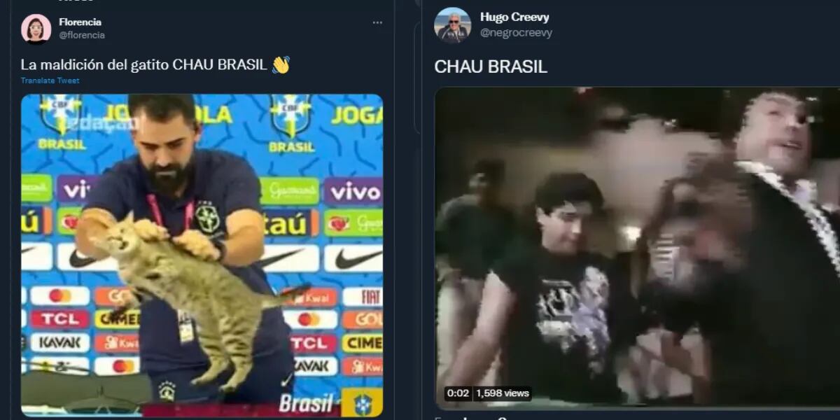 Brasil quedó eliminado de Mundial Qatar 2022 y la “maldición del gato” explotó las redes a puro meme