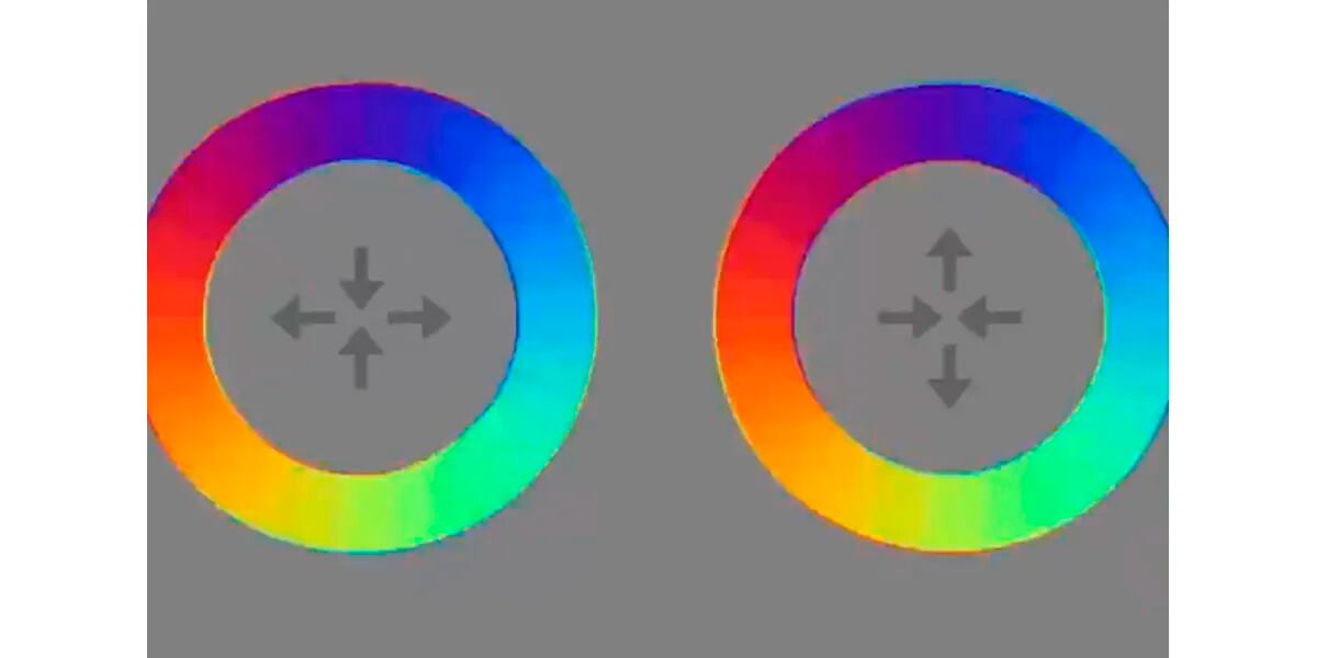 Una ilusión óptica que te da vuelta la cabeza: para qué lado giran los círculos