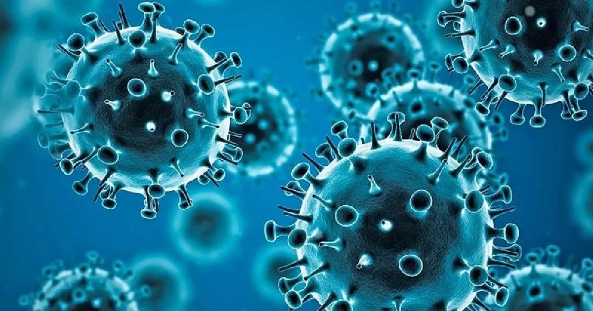 Confirmaron el primer caso de la variante Ómicron del coronavirus en Argentina