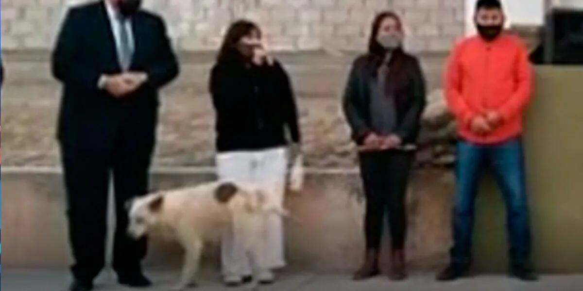 Video un perro se metió en un acto político y le hizo pis a la intendenta