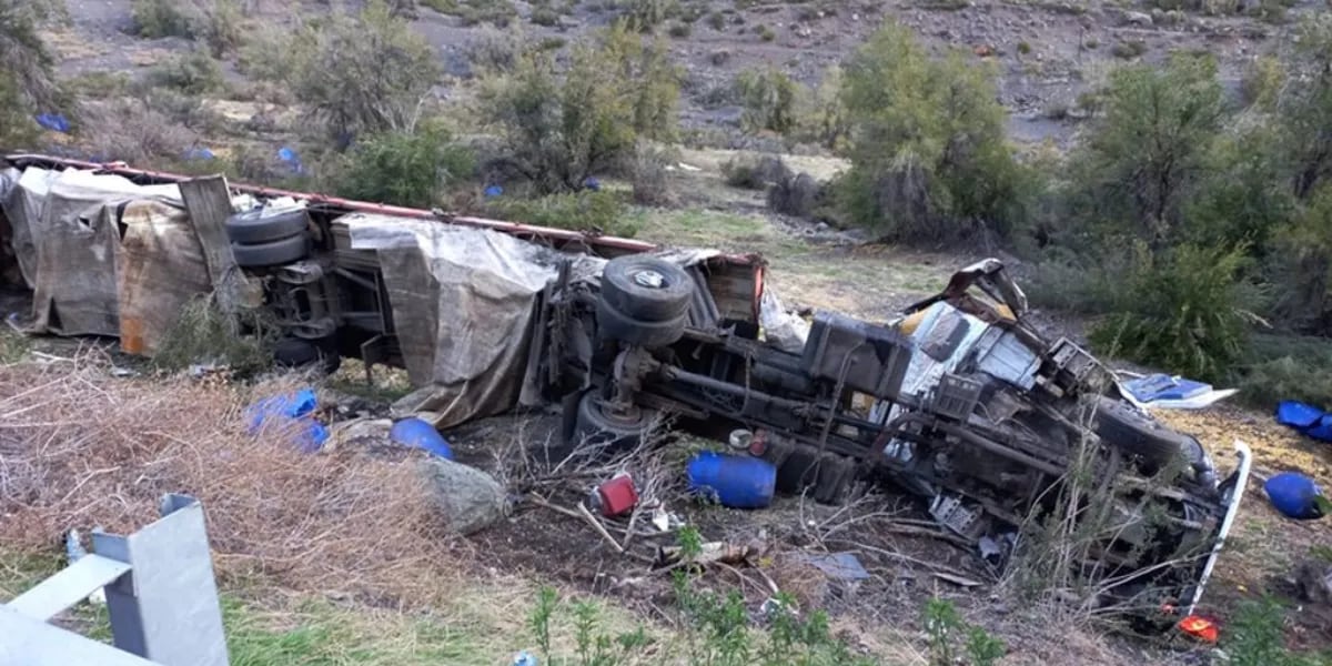 Accidente fatal: un camión se quedó sin frenos, pasó por arriba a un auto familiar y desató una tragedia