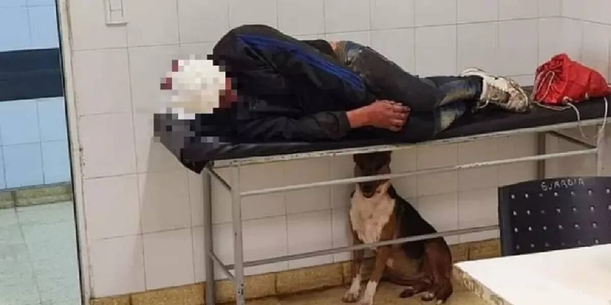 La historia del perro que salvó a su dueño y se hizo viral por cuidarlo en el hospital
