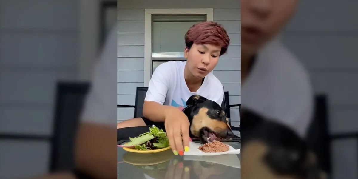 Video: quiso demostrar que su perra era "vegetariana por elección" pero comió el plato "prohibido" - ok foto
