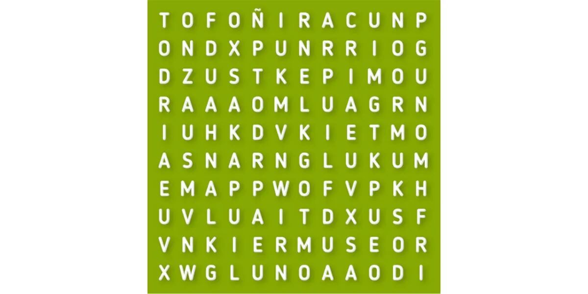 Superá el reto visual del día: encontrá la palabra “MUSEO” en la sopa de letras