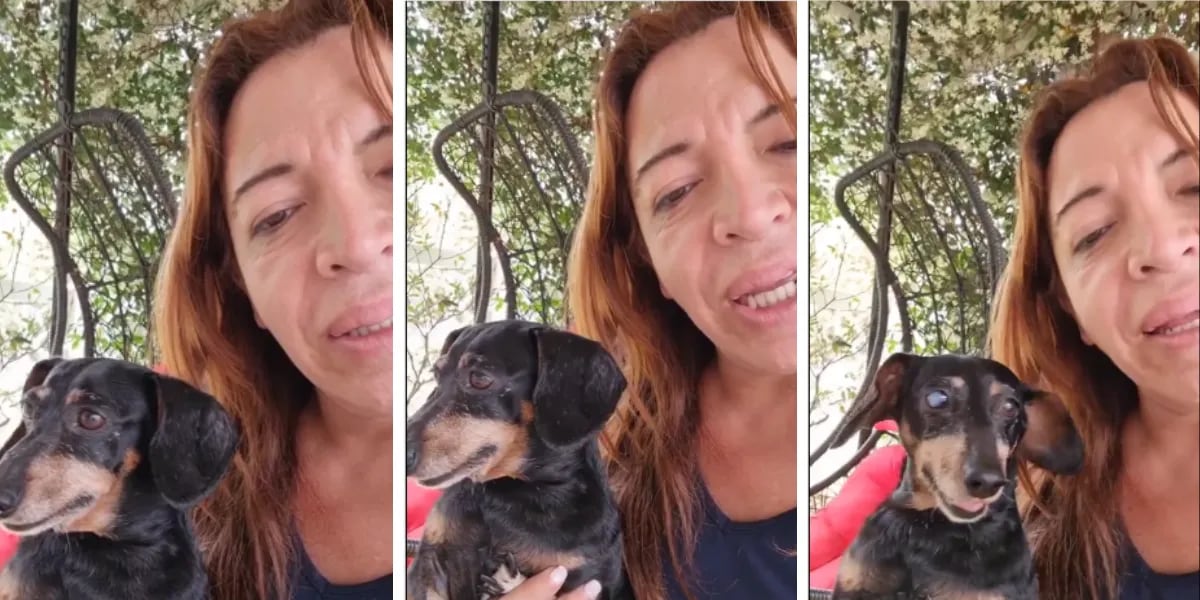 “Cochina la Gerarda”, el desopilante video de Lizy Tagliani retando a una de sus perritas
