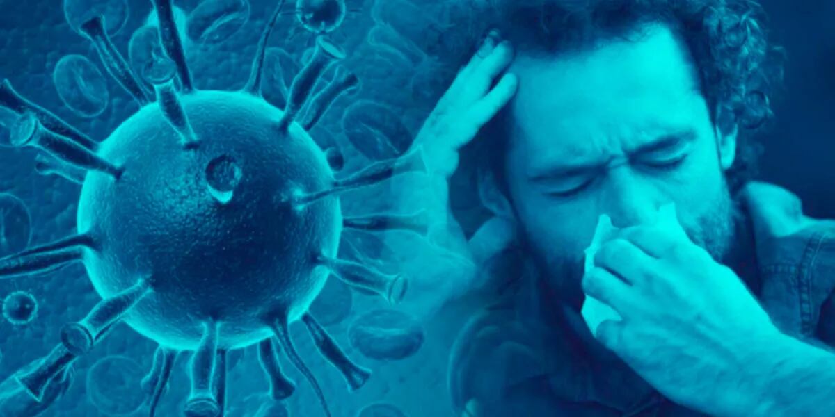 Norovirus cómo se contagia virus que provocó un brote en Reino Unido y preocupa al mundo