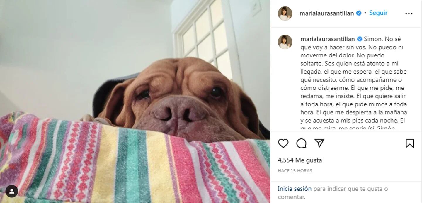 María Laura Santillán compartió un desgarrador mensaje en sus redes por el difícil momento que atraviesa: “No puedo ni moverme del dolor”