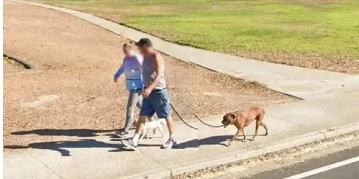 La verdad sobre el  “perro de seis patas” que apareció en Google Maps
