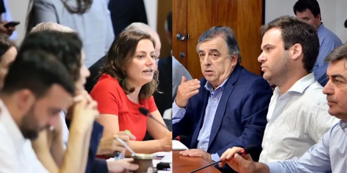 “Por machirulo”, el tenso cruce entre Mario Negri y una diputada del oficialismo