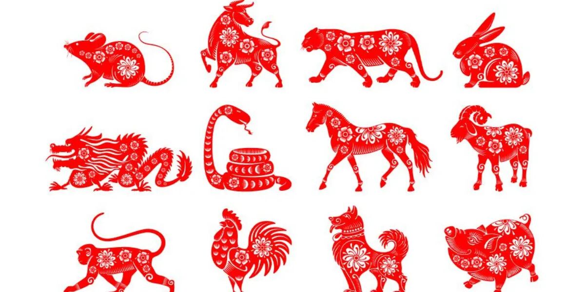 Empieza un nuevo año chino: cómo saber qué animal sos en el horóscopo y  cuál es su significado | La 100