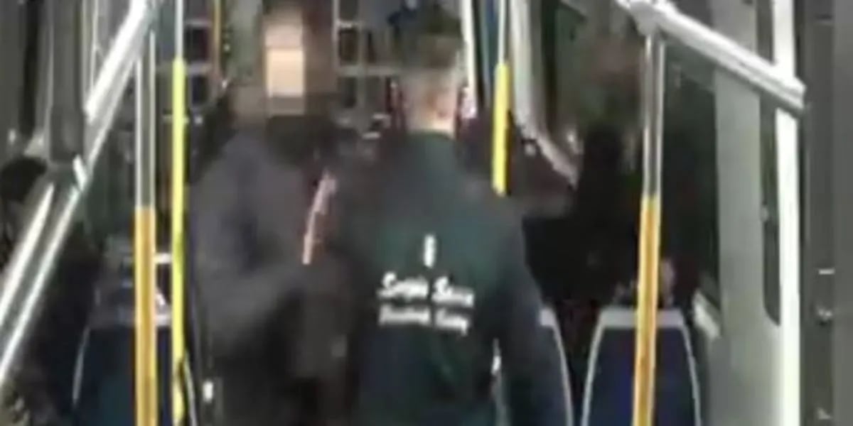 Video: un hombre abusó de una mujer en el tren Sarmiento