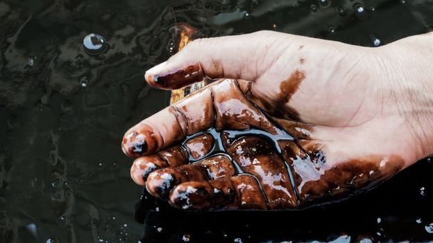 Encontraron una bacteria que descompone el petróleo y el diésel