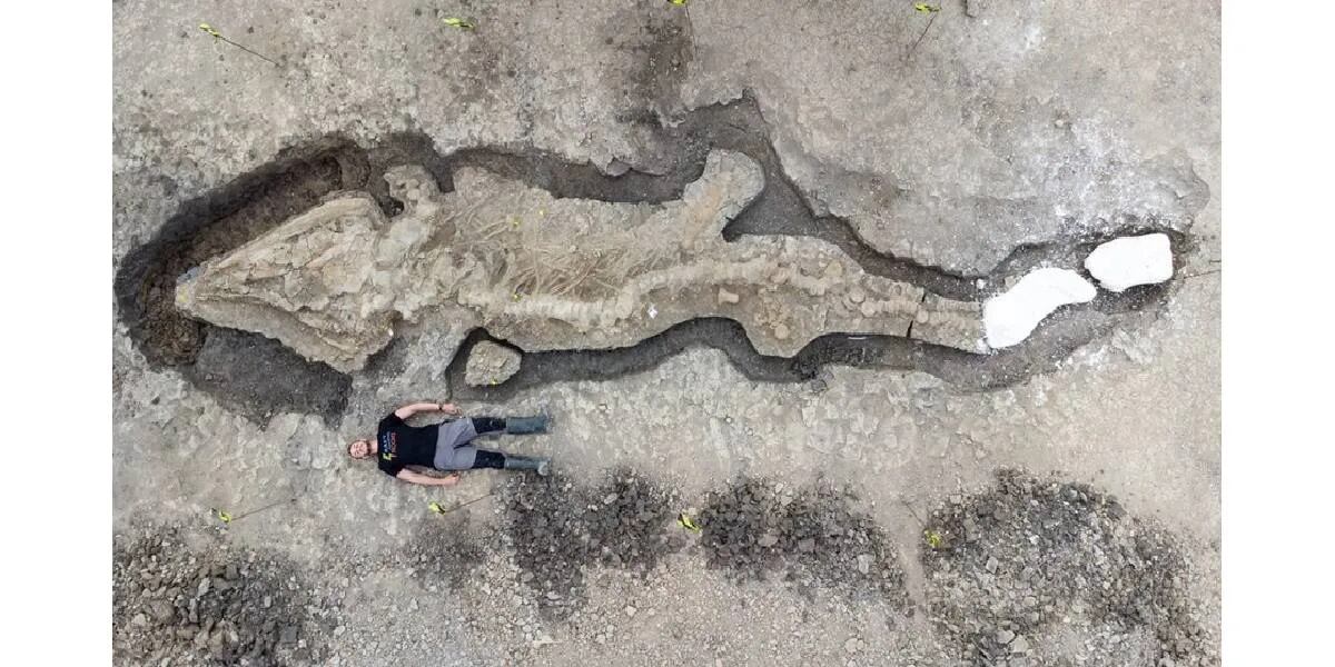 Encontraron los restos fósiles de un dragón marino: tiene 10 metros de largo