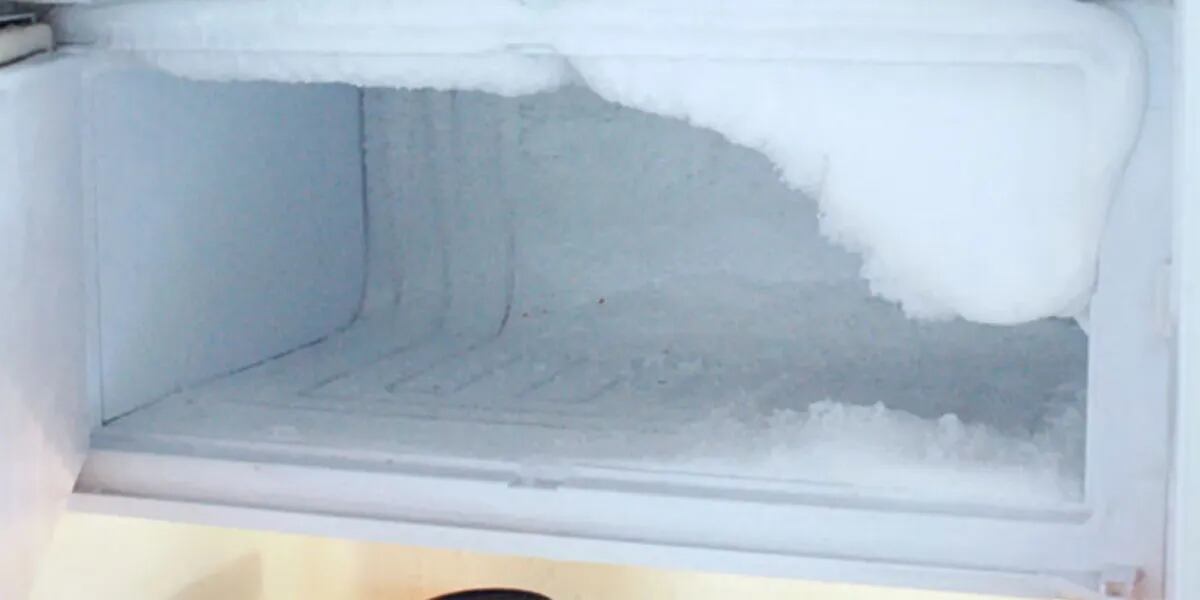 El truco para bajar el consumo del freezer y ahorrar en la factura de luz
