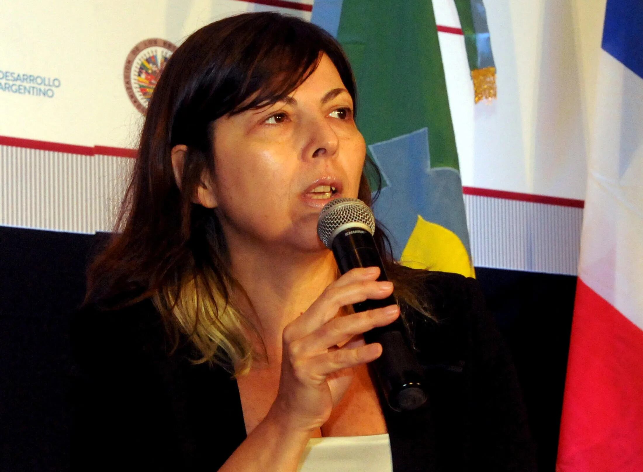Silvina Batakis el 30 de abril de 2015 en La Plata.
