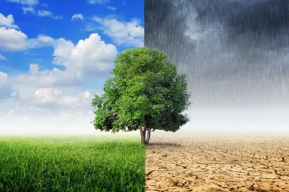 Pronóstico del clima: lluvias y lloviznas intermitentes