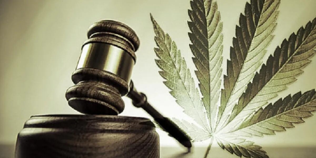 Aprobaron la ley de cannabis medicinal y cáñamo industrial en la Cámara de Diputados