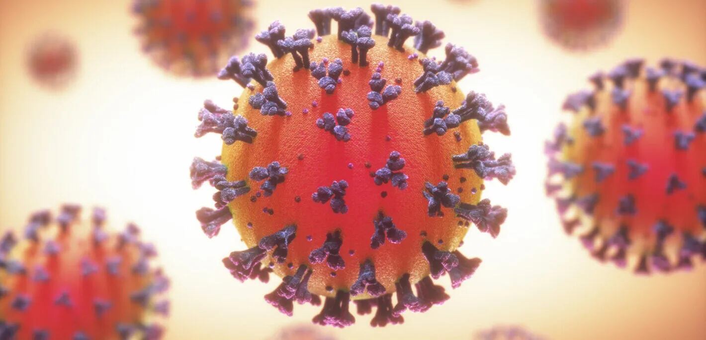 Inyectan bacterias muertas por la nariz para aumentar la inmunidad contra el coronavirus