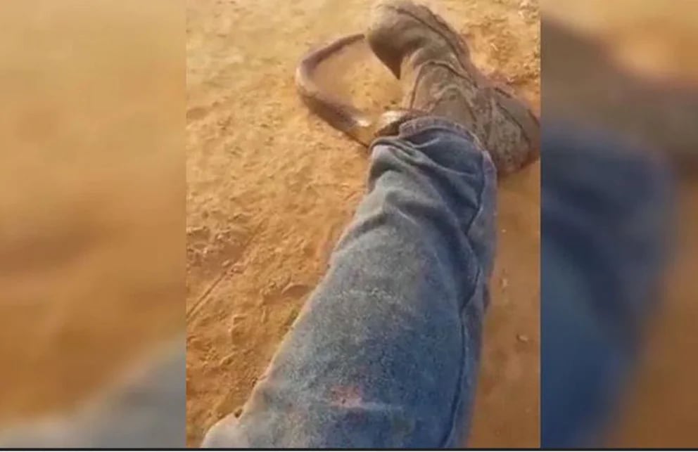 
Video | La estratégica maniobra de un hombre para no ser atacado por una serpiente

