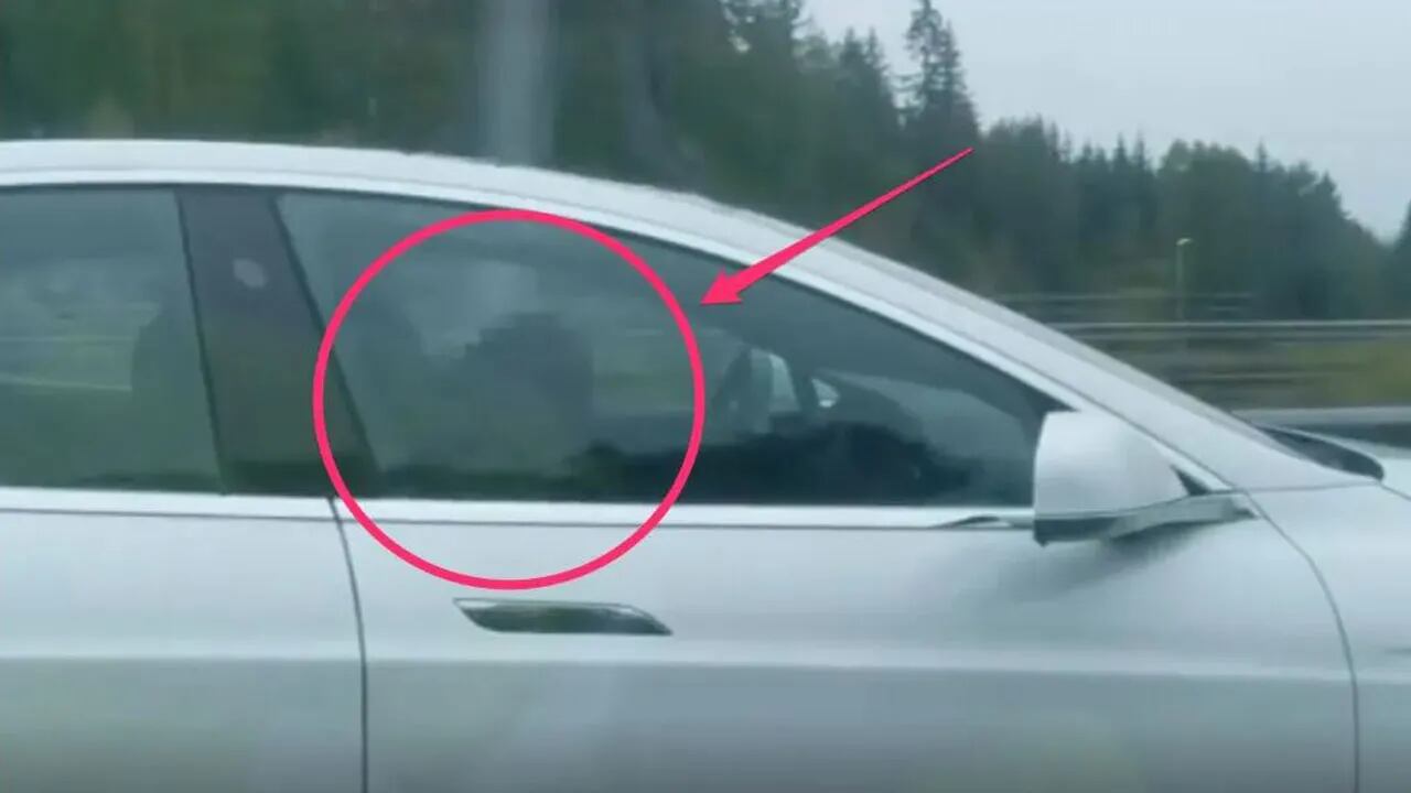 Video: el piloto automático de Tesla le salvó la vida a un conductor que se quedó dormido