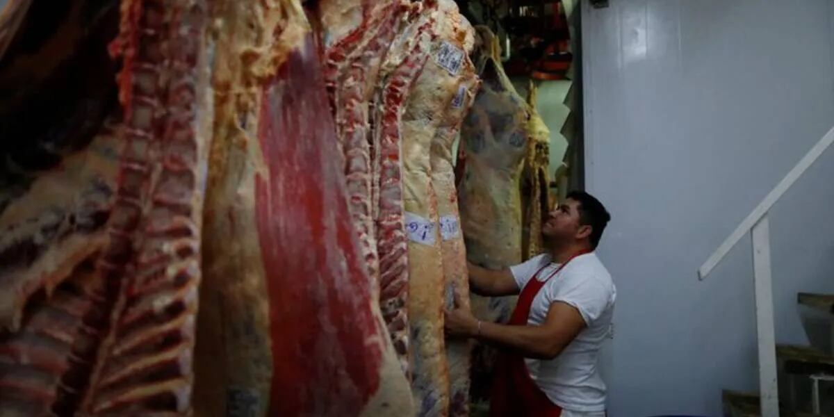 Dónde conseguir desde hoy los cortes de carne a “precios populares” que lanzó el Gobierno