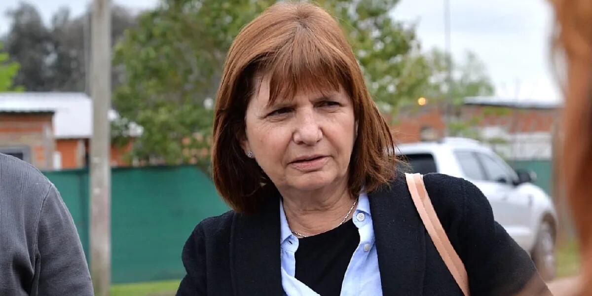 Patricia Bullrich habló tras el anuncio de Mauricio Macri: “Me parece una decisión estratégica muy importante”