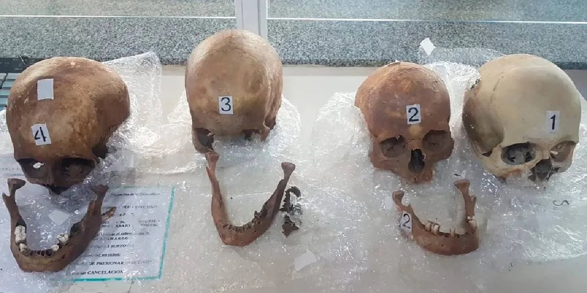 🔴 Encontraron cuatro cráneos humanos en la valija de una mujer que viajaba de Paraguay a Buenos Aires